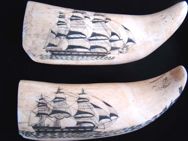 Possibly the Most Beautiful pair of 19th century American Whale's Teeth on the Market Today!!